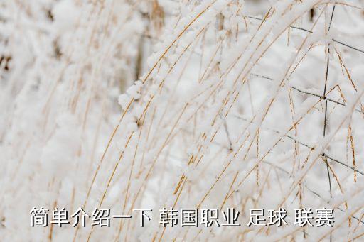 韓國哪個足球聯(lián)賽,足壇消息:職業(yè)隊和工業(yè)隊時隔15年回顧