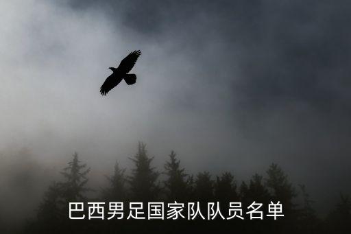 巴西隊(duì)吉爾是哪個(gè)球隊(duì)的,中國(guó)首進(jìn)世界杯巴西奪冠成就五冠大業(yè)
