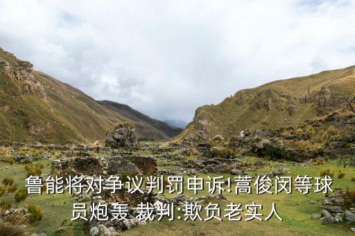  魯能將對爭議判罰申訴!蒿俊閔等球員炮轟 裁判:欺負老實人
