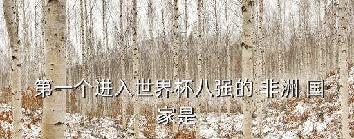 非洲哪個國家足球第一,世界杯非洲國家名單出爐南非居冠軍