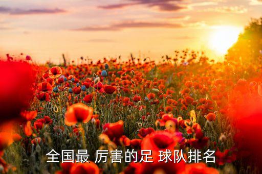 全國(guó)最 厲害的足 球隊(duì)排名