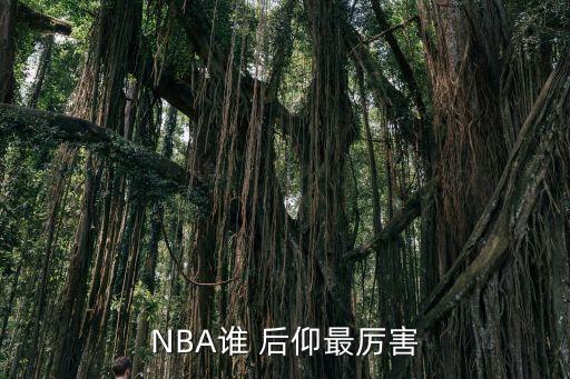 NBA誰 后仰最厲害
