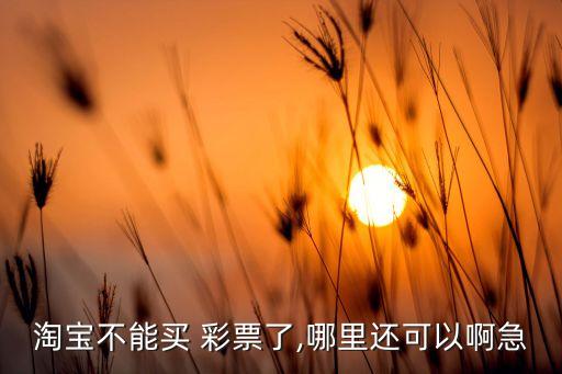 哪個(gè)網(wǎng)站還可以買(mǎi)彩票,《辭?！方忉尣势比绾物w鴿子票