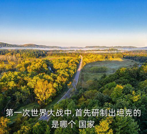 第一次世界大戰(zhàn)中,首先研制出坦克的是哪個 國家