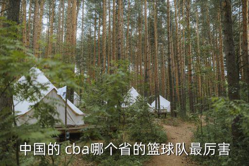 中國的 cba哪個省的籃球隊最厲害