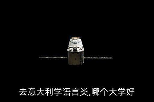 去意大利學(xué)語言類,哪個(gè)大學(xué)好