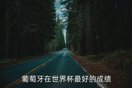  葡萄牙在世界杯最好的成績(jī)