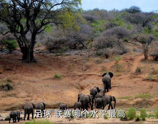  足球 聯(lián)賽哪個水平最高