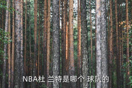 NBA杜 蘭特是哪個 球隊的