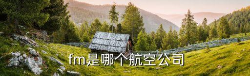  fm是哪個航空公司