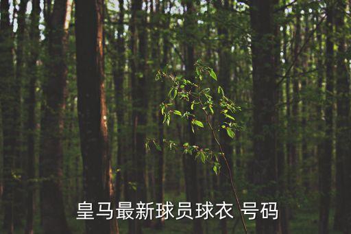  皇馬最新球員球衣 號碼