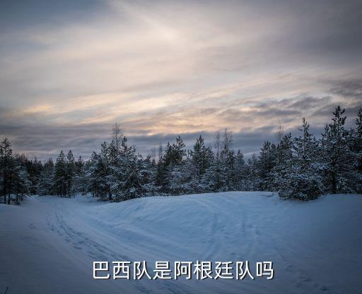 巴西在哪個(gè)球隊(duì),國(guó)際足聯(lián):巴甲在全球排名世界第二大聯(lián)賽