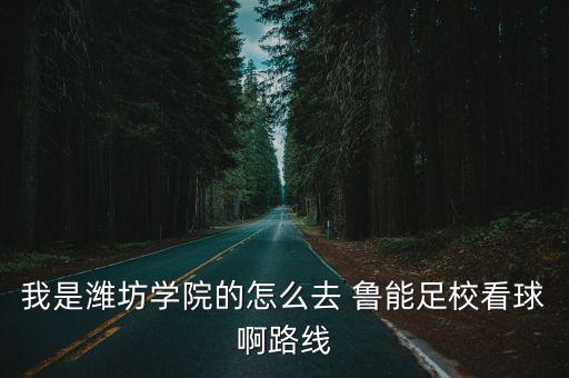 我是濰坊學(xué)院的怎么去 魯能足?？辞虬÷肪€