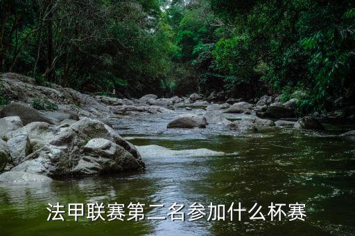 法國杯和法聯(lián)杯哪個(gè)重,法聯(lián)杯冠軍是里爾馬賽法甲名額分配如下