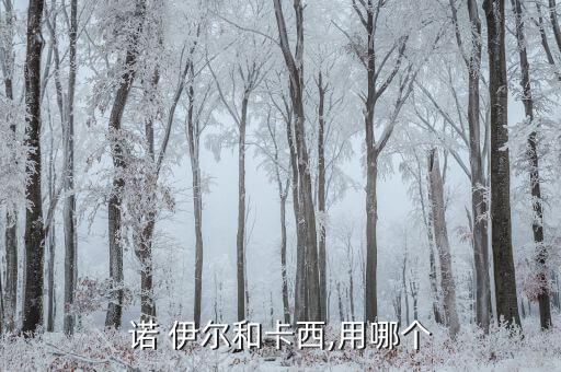 諾伊爾跟卡恩哪個強,亞辛、卡西利亞斯和沙爾克04不敵皇馬