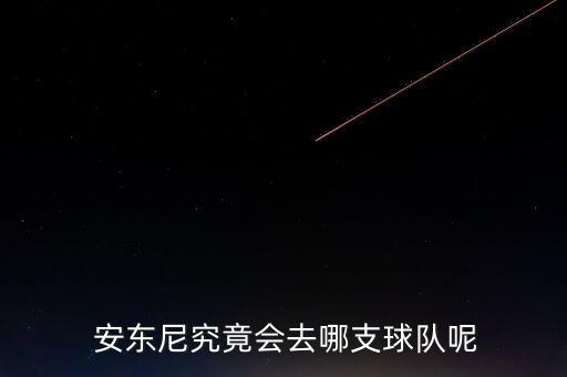 安東尼去哪個隊了,籃球巨星卡梅隆安東尼