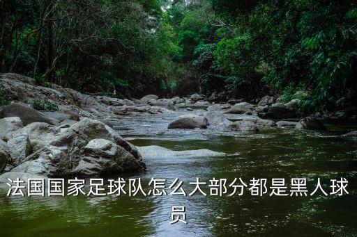 帕耶在哪個(gè)俱樂部,法國引進(jìn)非裔球員比如博格巴和佩耶