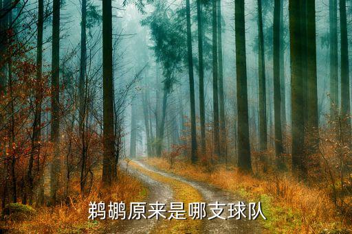  鵜鶘原來(lái)是哪支球隊(duì)