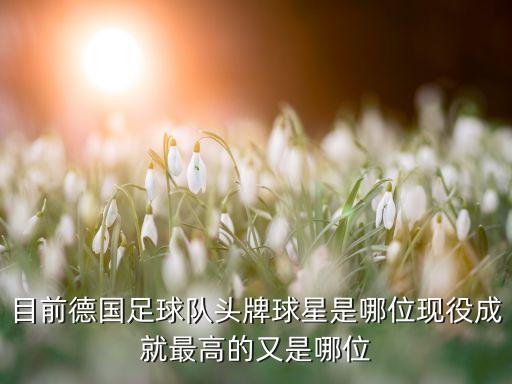 哪個(gè)賽季拉姆,《摩爾莊園》單詞拉姆在游戲中被稱為守護(hù)靈