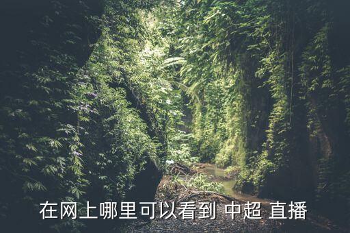 在網(wǎng)上哪里可以看到 中超 直播