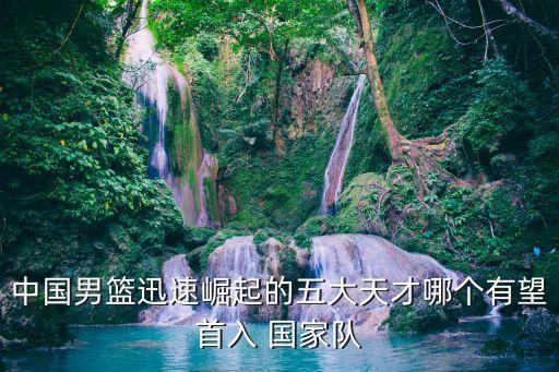 中國(guó)男籃迅速崛起的五大天才哪個(gè)有望首入 國(guó)家隊(duì)
