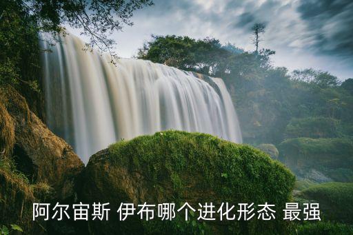 阿爾宙斯 伊布哪個進(jìn)化形態(tài) 最強(qiáng)