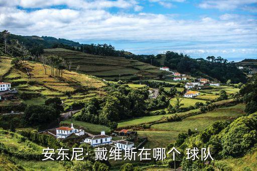 安東尼· 戴維斯在哪個 球隊