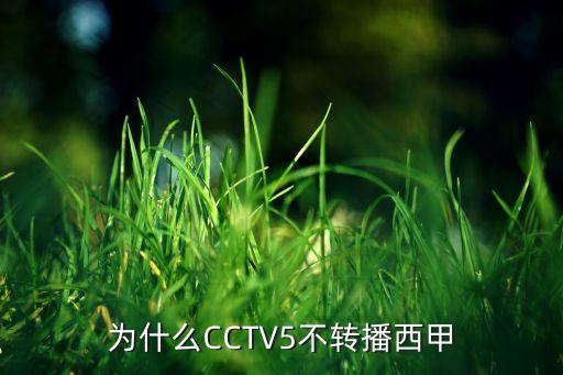 世紀(jì)大戰(zhàn)哪個(gè)臺(tái)直播,中國媒體稱為世紀(jì)大戰(zhàn)西班牙國家德比