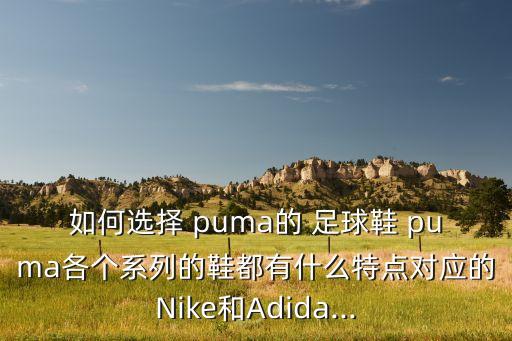 如何選擇 puma的 足球鞋 puma各個(gè)系列的鞋都有什么特點(diǎn)對(duì)應(yīng)的Nike和Adida...