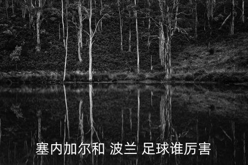 塞內(nèi)加爾和 波蘭 足球誰厲害