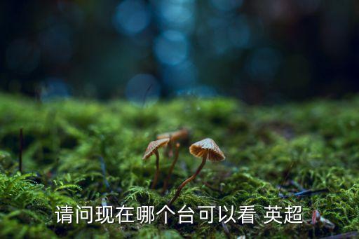 英超哪個(gè)衛(wèi)視直播軟件,武漢武昌醫(yī)院急救中心提供免費(fèi)醫(yī)療檢測