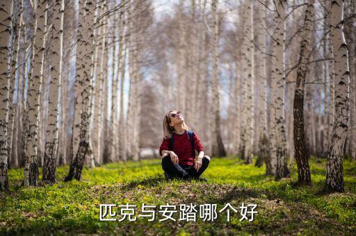匹克與安踏哪個(gè)好