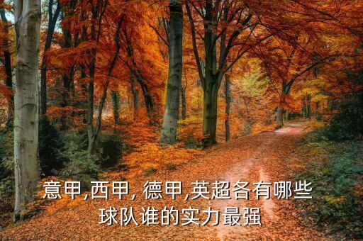 德甲哪個球隊厲害,拜仁慕尼黑球隊1比3不敵多特蒙德出線成功