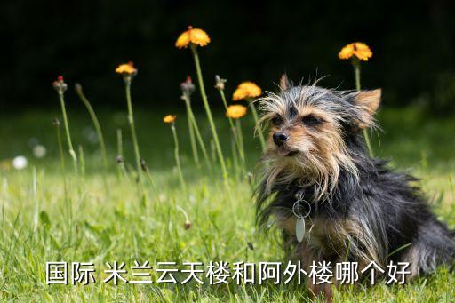 今晚米蘭對國米哪個(gè)臺直播,國際米蘭田蕓大廈位于米蘭中心位置