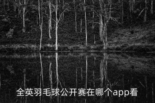 全英賽哪個臺轉(zhuǎn)播,2017全英羽毛球公開賽正式結(jié)束
