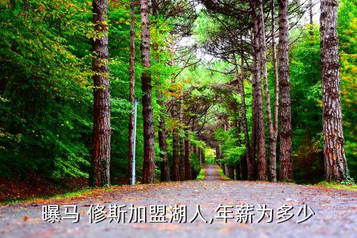 馬修斯哪個(gè)隊(duì),馬修斯年薪360萬(wàn)美元加盟nba湖人