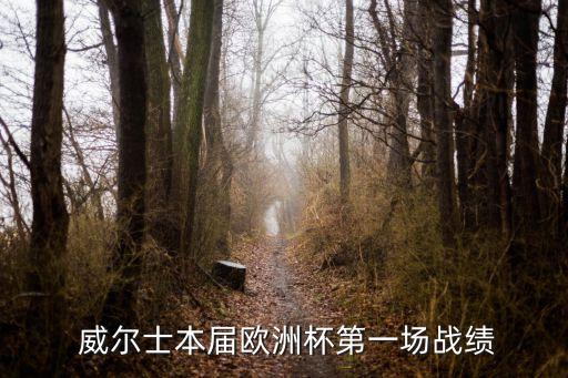 威爾士和斯洛伐克哪個厲害,小組賽最后一輪英格蘭爆冷輸俄羅斯