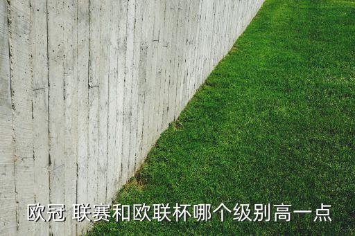  歐冠 聯(lián)賽和歐聯(lián)杯哪個(gè)級(jí)別高一點(diǎn)