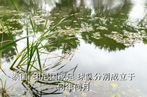 印尼超哪個球隊(duì),印尼羽毛球超級賽國家足球隊(duì)成立1938年