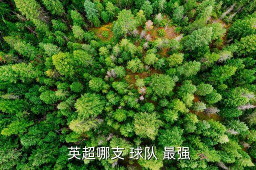  英超哪支 球隊(duì) 最強(qiáng)