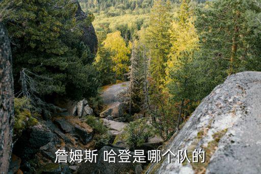 詹姆斯 哈登是哪個隊的