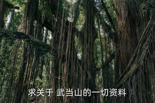 武當(dāng)山直播哪個(gè)臺(tái)放,武當(dāng)山被列為中國(guó)道教名勝區(qū)之一