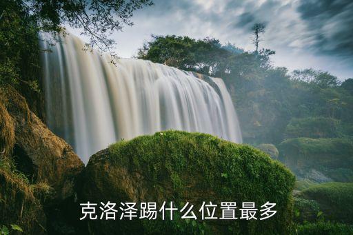 哪個(gè)比10w克洛澤更好,我國(guó)男籃小將克洛澤復(fù)出打中場(chǎng)位置