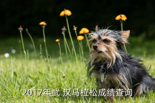 漢馬2017哪個(gè)臺(tái)直播,亞運(yùn)會(huì)羽毛球賽:埃塞俄比亞選手奪冠