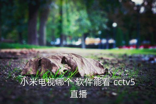 哪個(gè)軟件直播cctv5,點(diǎn)擊屏幕中央播放按鈕即可觀看直播