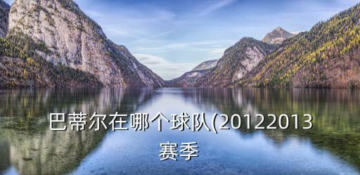 巴蒂爾在哪個球隊(20122013賽季