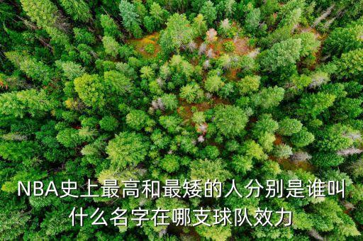 朗佐-波爾在哪個隊,我國籃球先驅(qū)哈登的故事