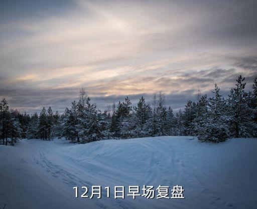 12月1日早場復盤