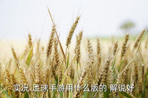 實(shí)況 足球手游用什么版的 解說(shuō)好