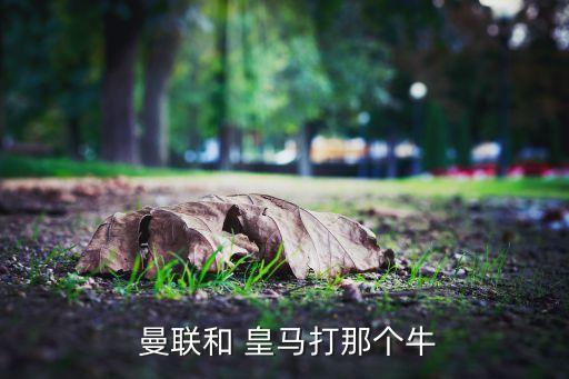  曼聯(lián)和 皇馬打那個(gè)牛